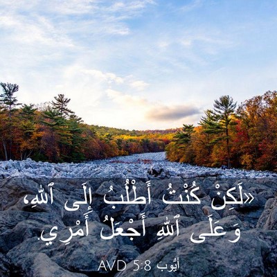 Picture 03 - أَيُّوبَ 5:8 AVD - «لَكِنْ كُنْتُ أَطْلُبُ - Bible Verse Picture