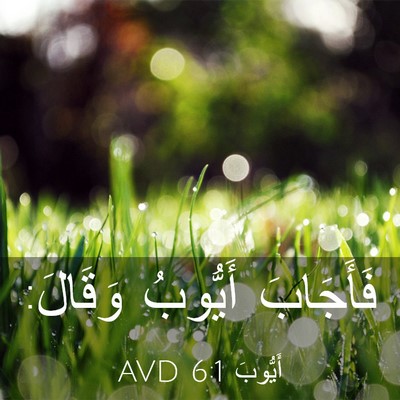 Picture 03 - أَيُّوبَ 6:1 AVD - فَأَجَابَ أَيُّوبُ - Bible Verse Picture