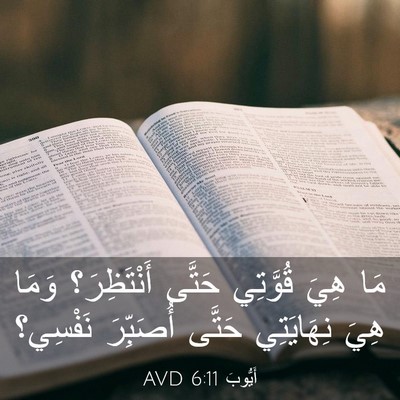 Picture 03 - أَيُّوبَ 6:11 AVD - مَا هِيَ قُوَّتِي حَتَّى - Bible Verse Picture