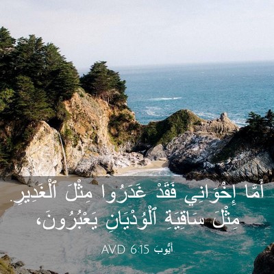 Picture 03 - أَيُّوبَ 6:15 AVD - أَمَّا إِخْوَانِي فَقَدْ - Bible Verse Picture