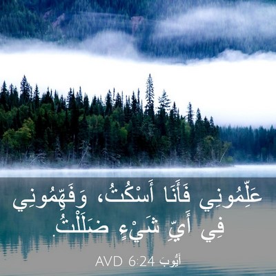 Picture 03 - أَيُّوبَ 6:24 AVD - عَلِّمُونِي فَأَنَا - Bible Verse Picture