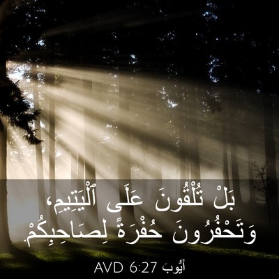 Picture 03 - أَيُّوبَ 6:27 AVD - بَلْ تُلْقُونَ عَلَى - Bible Verse Picture