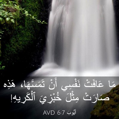 Picture 03 - أَيُّوبَ 6:7 AVD - مَا عَافَتْ نَفْسِي أَنْ - Bible Verse Picture