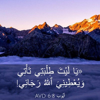 Picture 03 - أَيُّوبَ 6:8 AVD - «يَا لَيْتَ طِلْبَتِي - Bible Verse Picture