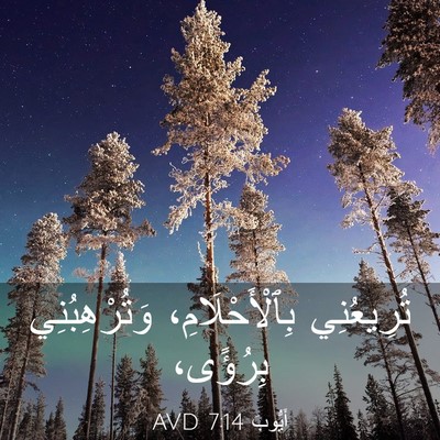Picture 03 - أَيُّوبَ 7:14 AVD - تُرِيعُنِي - Bible Verse Picture