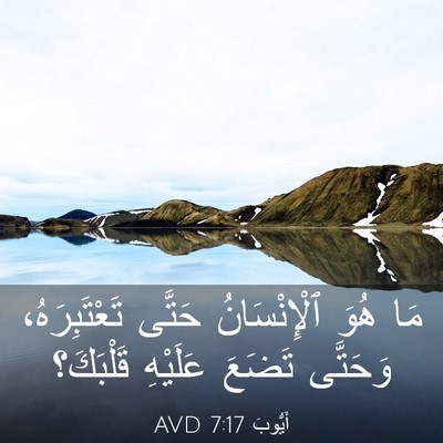Picture 03 - أَيُّوبَ 7:17 AVD - مَا هُوَ ٱلْإِنْسَانُ - Bible Verse Picture