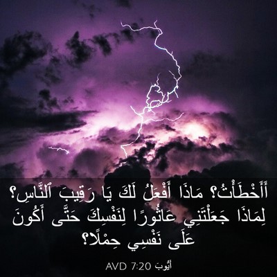Picture 03 - أَيُّوبَ 7:20 AVD - أَأَخْطَأْتُ؟ مَاذَا - Bible Verse Picture