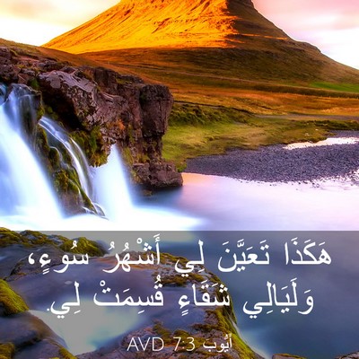 Picture 03 - أَيُّوبَ 7:3 AVD - هَكَذَا تَعَيَّنَ لِي - Bible Verse Picture