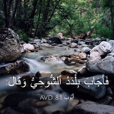 Picture 03 - أَيُّوبَ 8:1 AVD - فَأَجَابَ بِلْدَدُ - Bible Verse Picture