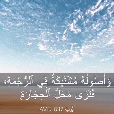 Picture 03 - أَيُّوبَ 8:17 AVD - وَأُصُولُهُ مُشْتَبِكَةٌ - Bible Verse Picture