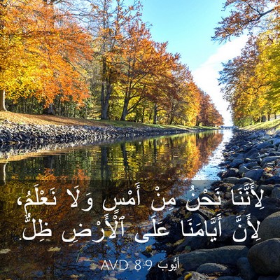Picture 03 - أَيُّوبَ 8:9 AVD - لِأَنَّنَا نَحْنُ مِنْ - Bible Verse Picture