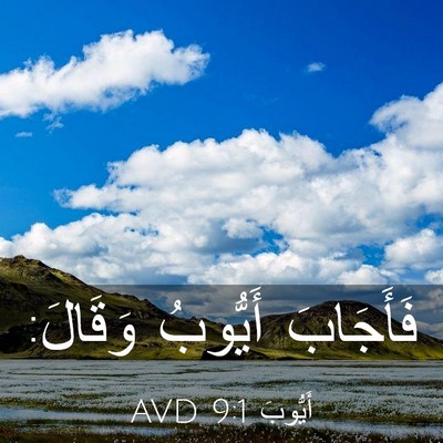 Picture 03 - أَيُّوبَ 9:1 AVD - فَأَجَابَ أَيُّوبُ - Bible Verse Picture