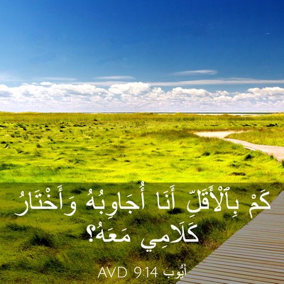 Picture 03 - أَيُّوبَ 9:14 AVD - كَمْ بِٱلْأَقَلِّ أَنَا - Bible Verse Picture