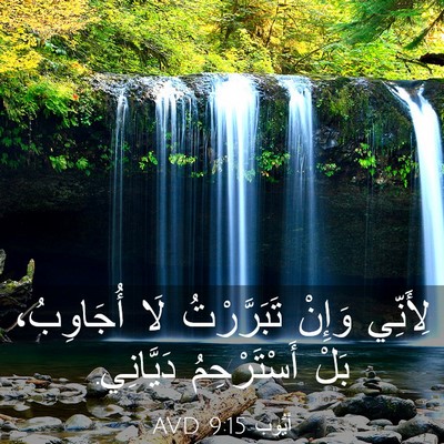 Picture 03 - أَيُّوبَ 9:15 AVD - لِأَنِّي وَإِنْ - Bible Verse Picture