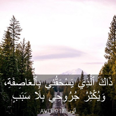 Picture 03 - أَيُّوبَ 9:17 AVD - ذَاكَ ٱلَّذِي يَسْحَقُنِي - Bible Verse Picture