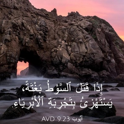 Picture 03 - أَيُّوبَ 9:23 AVD - إِذَا قَتَلَ ٱلسَّوْطُ - Bible Verse Picture