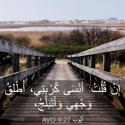 Picture 03 - أَيُّوبَ 9:27 AVD - إِنْ قُلْتُ: أَنْسَى - Bible Verse Picture