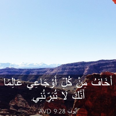 Picture 03 - أَيُّوبَ 9:28 AVD - أَخَافُ مِنْ كُلِّ - Bible Verse Picture