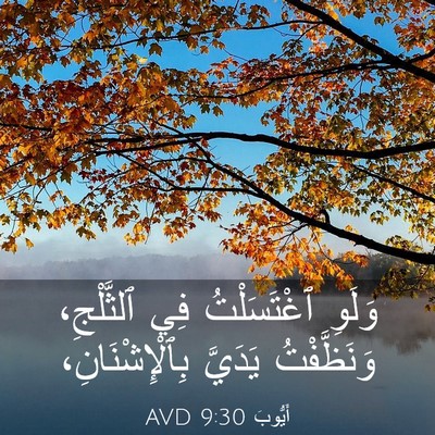 Picture 03 - أَيُّوبَ 9:30 AVD - وَلَوِ ٱغْتَسَلْتُ فِي - Bible Verse Picture
