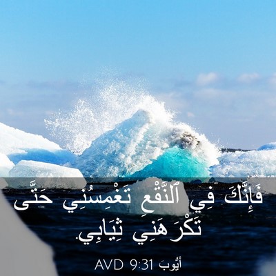 Picture 03 - أَيُّوبَ 9:31 AVD - فَإِنَّكَ فِي ٱلنَّقْعِ - Bible Verse Picture