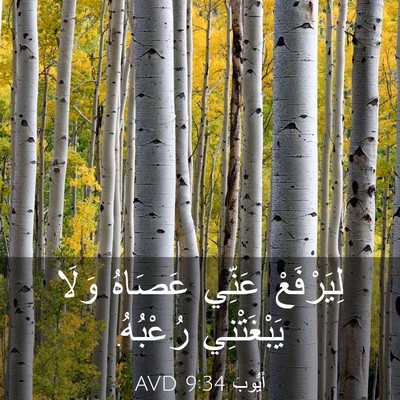 Picture 03 - أَيُّوبَ 9:34 AVD - لِيَرْفَعْ عَنِّي عَصَاهُ - Bible Verse Picture