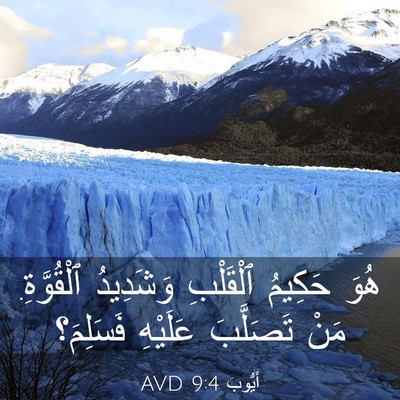 Picture 03 - أَيُّوبَ 9:4 AVD - هُوَ حَكِيمُ ٱلْقَلْبِ - Bible Verse Picture