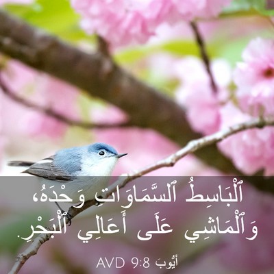 Picture 03 - أَيُّوبَ 9:8 AVD - ٱلْبَاسِطُ ٱلسَّمَاوَاتِ - Bible Verse Picture