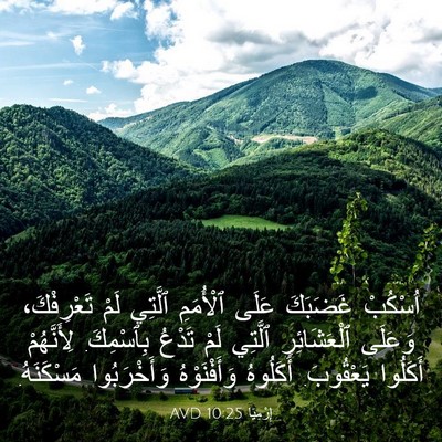 Picture 03 - إِرْمِيَا 10:25 AVD - اُسْكُبْ غَضَبَكَ عَلَى - Bible Verse Picture