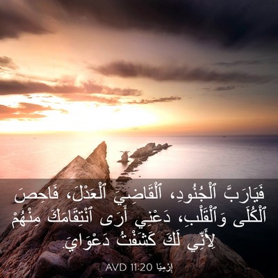 Picture 03 - إِرْمِيَا 11:20 AVD - فَيَارَبَّ ٱلْجُنُودِ، - Bible Verse Picture