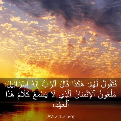 Picture 03 - إِرْمِيَا 11:3 AVD - فَتَقُولُ لَهُمْ: هَكَذَا - Bible Verse Picture
