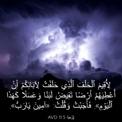 Picture 03 - إِرْمِيَا 11:5 AVD - لِأُقِيمَ ٱلْحَلْفَ - Bible Verse Picture