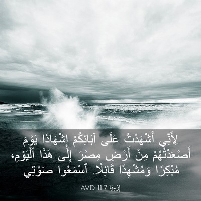 Picture 03 - إِرْمِيَا 11:7 AVD - لِأَنِّي أَشْهَدْتُ عَلَى - Bible Verse Picture