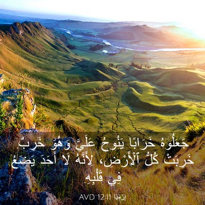 Picture 03 - إِرْمِيَا 12:11 AVD - جَعَلُوهُ خَرَابًا - Bible Verse Picture