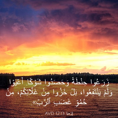 Picture 03 - إِرْمِيَا 12:13 AVD - زَرَعُوا حِنْطَةً - Bible Verse Picture