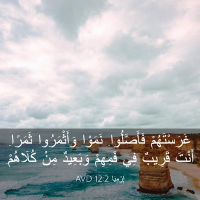 Picture 03 - إِرْمِيَا 12:2 AVD - غَرَسْتَهُمْ فَأَصَّلُوا. - Bible Verse Picture