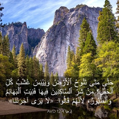 Picture 03 - إِرْمِيَا 12:4 AVD - حَتَّى مَتَى تَنُوحُ - Bible Verse Picture