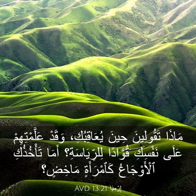 Picture 03 - إِرْمِيَا 13:21 AVD - مَاذَا تَقُولِينَ حِينَ - Bible Verse Picture