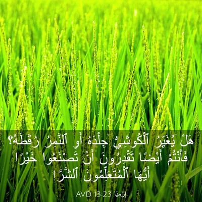 Picture 03 - إِرْمِيَا 13:23 AVD - هَلْ يُغَيِّرُ - Bible Verse Picture
