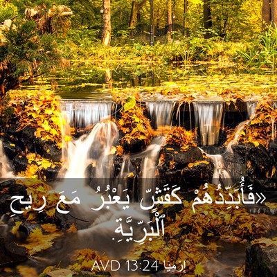Picture 03 - إِرْمِيَا 13:24 AVD - «فَأُبَدِّدُهُمْ كَقَشٍّ - Bible Verse Picture