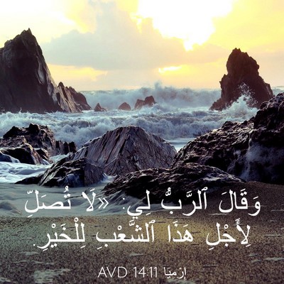 Picture 03 - إِرْمِيَا 14:11 AVD - وَقَالَ ٱلرَّبُّ لِي: «لَا - Bible Verse Picture