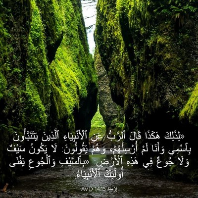 Picture 03 - إِرْمِيَا 14:15 AVD - «لِذَلِكَ هَكَذَا قَالَ - Bible Verse Picture