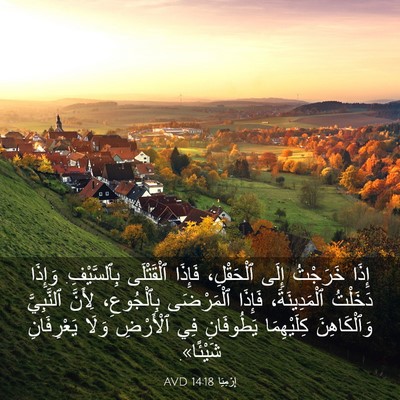 Picture 03 - إِرْمِيَا 14:18 AVD - إِذَا خَرَجْتُ إِلَى - Bible Verse Picture