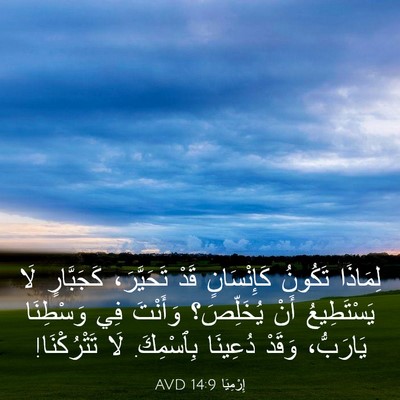 Picture 03 - إِرْمِيَا 14:9 AVD - لِمَاذَا تَكُونُ - Bible Verse Picture