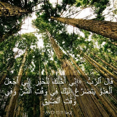 Picture 03 - إِرْمِيَا 15:11 AVD - قَالَ ٱلرَّبُّ: «إِنِّي - Bible Verse Picture