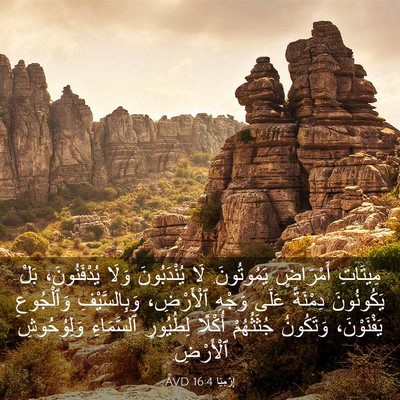Picture 03 - إِرْمِيَا 16:4 AVD - مِيتَاتِ أَمْرَاضٍ - Bible Verse Picture