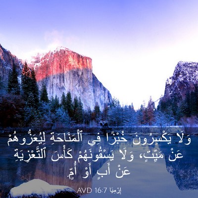 Picture 03 - إِرْمِيَا 16:7 AVD - وَلَا يَكْسِرُونَ خُبْزًا - Bible Verse Picture