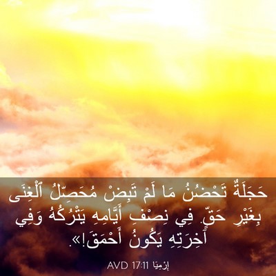 Picture 03 - إِرْمِيَا 17:11 AVD - حَجَلَةٌ تَحْضُنُ مَا لَمْ - Bible Verse Picture