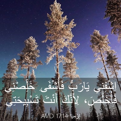Picture 03 - إِرْمِيَا 17:14 AVD - اِشْفِنِي يَارَبُّ - Bible Verse Picture