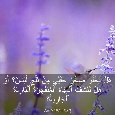 Picture 03 - إِرْمِيَا 18:14 AVD - هَلْ يَخْلُو صَخْرُ - Bible Verse Picture
