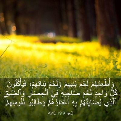 Picture 03 - إِرْمِيَا 19:9 AVD - وَأُطْعِمُهُمْ لَحْمَ - Bible Verse Picture